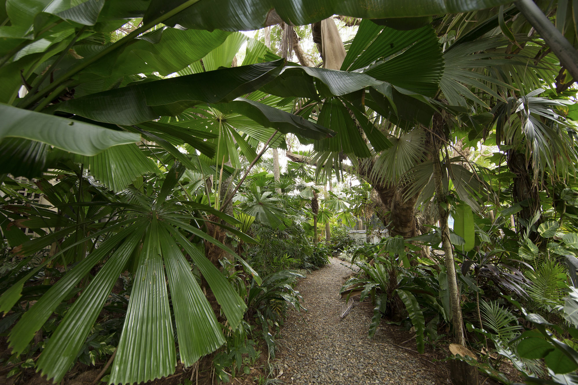 Castaways Resort & Spa On מישן ביץ' מראה חיצוני תמונה